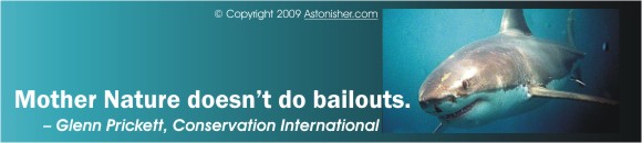 "Mother Nature doesn't do bailouts." -- Glenn Prickett, Conservation International