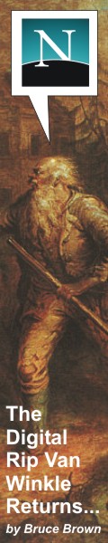 "The Digital Rip Van Winkle Returns" by Bruce Brown