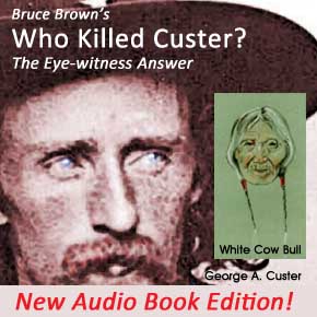 "Who Killed Custer" by Bruce Brown Audio Book cover