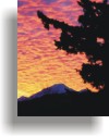thumbnail of "Temple of the Sky" by Bruce Brown