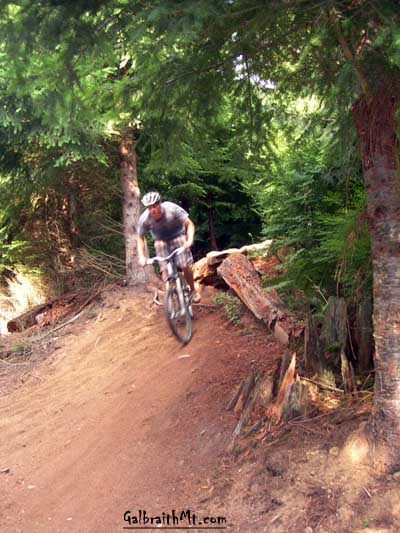 Saturday Flash on Mullet on Galbraith Mt. in Bellingham, WA