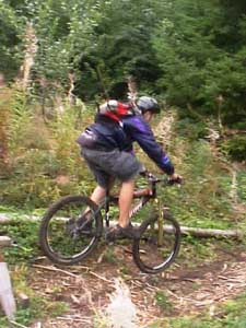big_gnarly_snow_030802.jpg (48499 bytes)