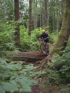Mongo on Evil Twin on Galbraith Mt. in Bellingham, WA 2