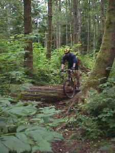 Mongo on Evil Twin on Galbraith Mt. in Bellingham, WA 3