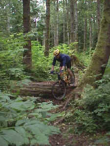 Mongo on Evil Twin on Galbraith Mt. in Bellingham, WA 4