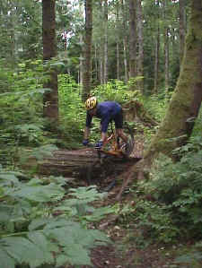 Mongo on Evil Twin on Galbraith Mt. in Bellingham, WA 5