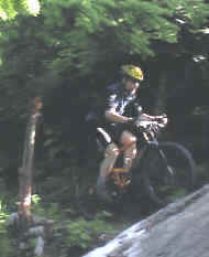 Graphic1.jpg (24513 bytes)