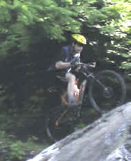 Graphic2.jpg (29367 bytes)