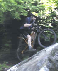 Graphic3.jpg (32827 bytes)