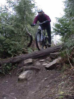 mb_bobsdrop_2.jpg (52945 bytes)