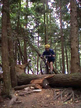 bb_logcandy1_090301.jpg (55151 bytes)