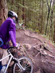 root5x.jpg (62746 bytes)