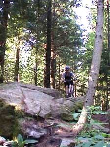 root5x.jpg (62746 bytes)