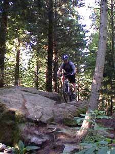 herb1_062100.JPG (37476 bytes)