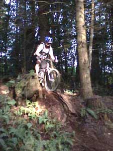 herb1_062100.JPG (37476 bytes)