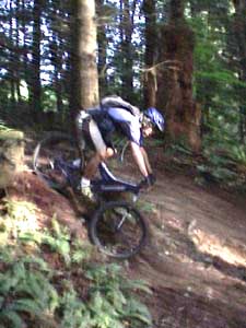 root5x.jpg (62746 bytes)