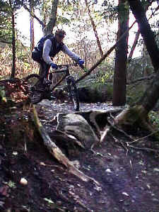 pa_1_400pix.jpg (62104 bytes)