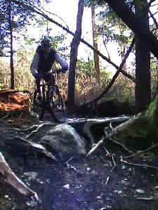 pa_2_400pix.jpg (41903 bytes)