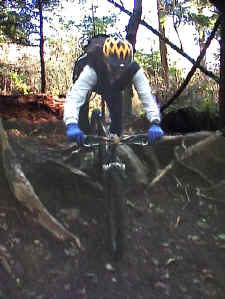 pa_3_400pix.jpg (33168 bytes)