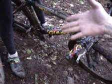 pa_5_500pix.jpg (27361 bytes)