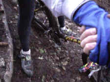 pa_6_500pix.jpg (27821 bytes)