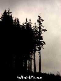 Arsenio on Galbraith Mt. in Bellingham, Wa