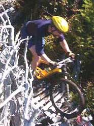 Mongo on Dan's Trail