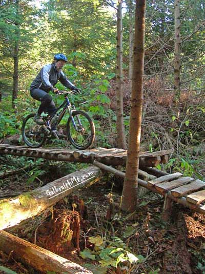 Mongo on Bob's Trail on Galbraith Mt. in Bellingham, WA