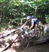 shawn_nelson_080602_400pix.jpg (94381 bytes)