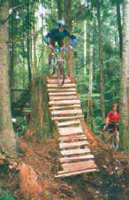 Thad Quinn on Chutes & Ladders