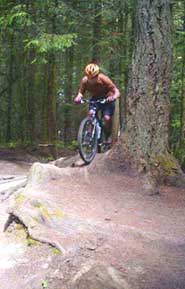 Herb Hogan on the Big Gnarly on the Ridge Trail on Galbraith Mt.