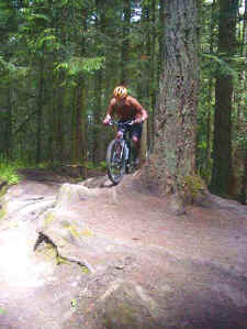 herb1_062100.JPG (37476 bytes)