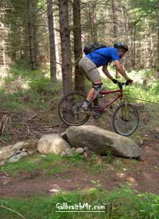 root5x.jpg (62746 bytes)