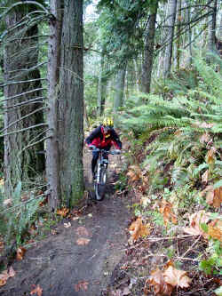 miranda_112400.jpg (83763 bytes)