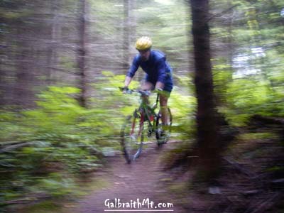 Mongo cruisin' Banjoland on Galbraith Mt.