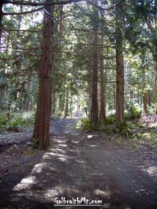 ridge_030700.jpg (63973 bytes)