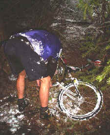 rl2_021501.jpg (33654 bytes)