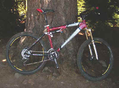 rm_slayer_500pix.jpg (33619 bytes)