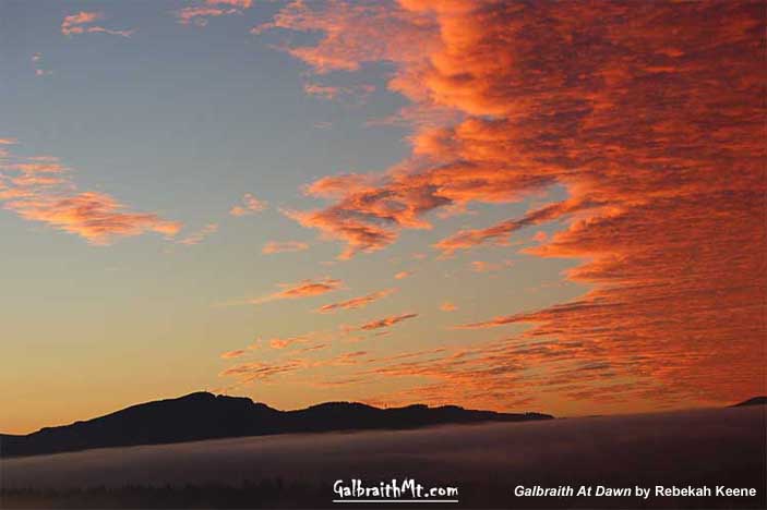 Galbraith At Dawn by Rebekah Keene