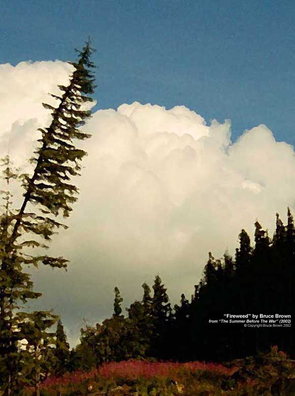 "Fireweed, August 10, 2002" by Bruce Brown, form "The Summer Before The War" (2002)