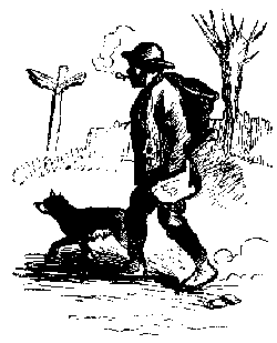 illustration from "The Politics of Irish Literature" by Malcolm Brown