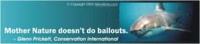 "Mother Nature doesn't do bailouts." -- Glenn Prickett, Conservation International