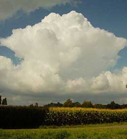 "Thunderhead Over the Corn" by Bruce Brown