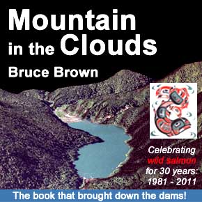Mountain in the Clouds by Bruce Brown
