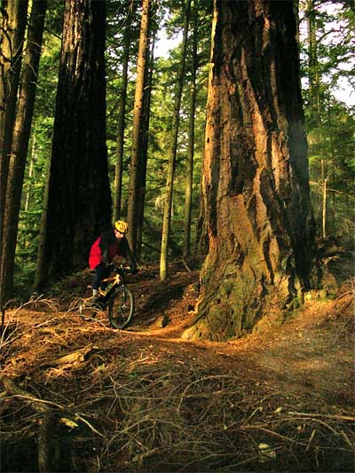 bb2_111100.jpg (36744 bytes)