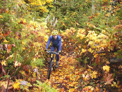 bb_110100.jpg (55331 bytes)