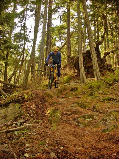 bb_111100.jpg (74399 bytes)