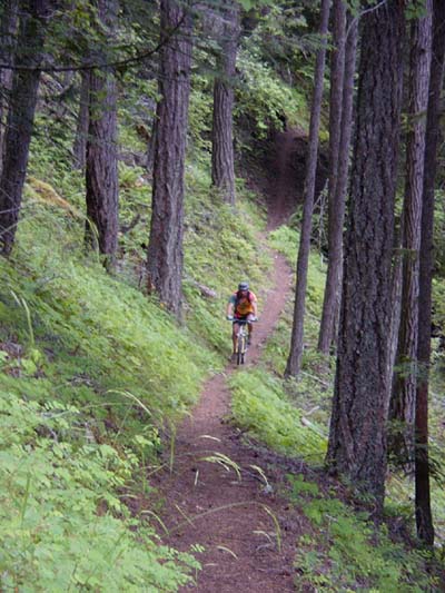 bh2_072100.jpg (59986 bytes)