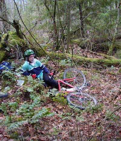 bo3.jpg (83427 bytes)