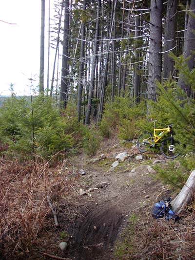 crazy8s_032500.jpg (68821 bytes)